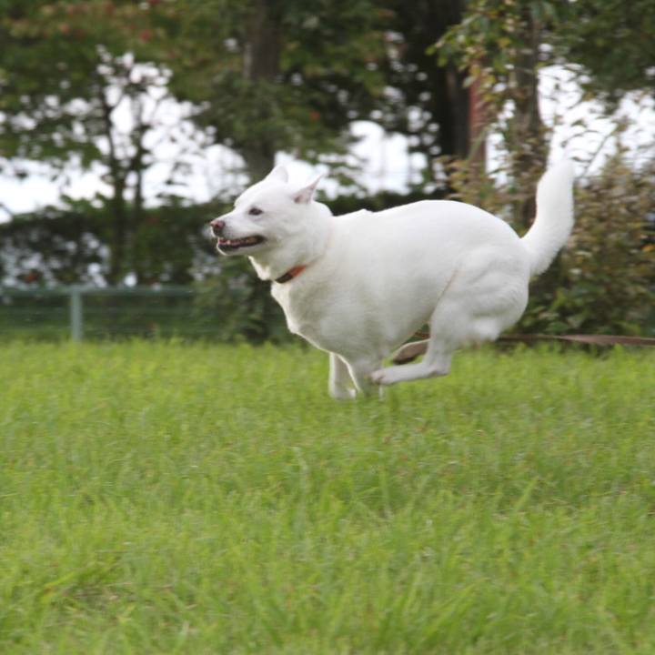 39ea3942 719e 40b5 82a9 46c7868e97d8