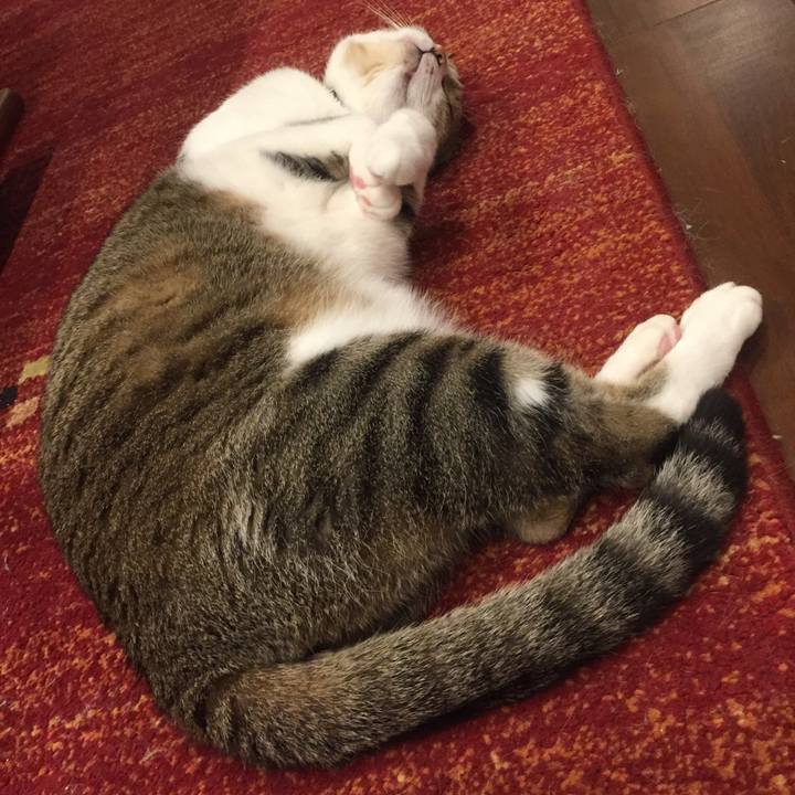 39eb898e ccf1 4698 ac32 40be3c52df1b