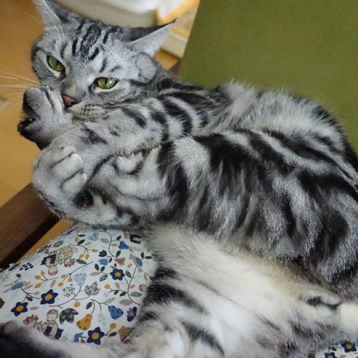 39eba564 9300 43ac bb37 575c626e55c2