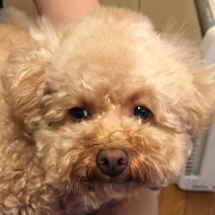 39ebf3bf a5d0 4203 b685 600400c8ae88