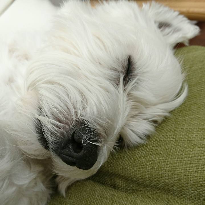 39ec1dda f6b7 4222 90a2 d97322d5f3ce