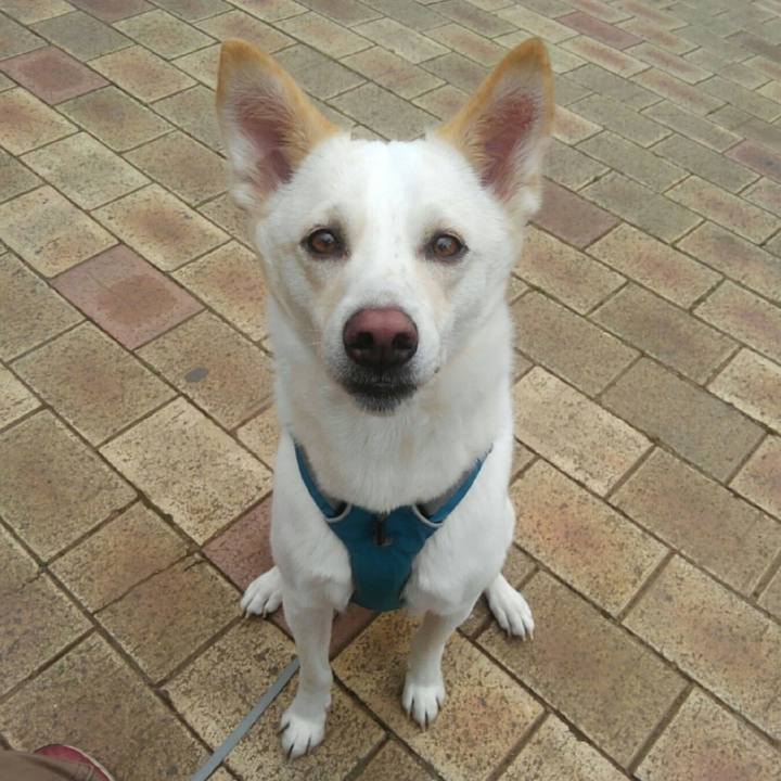 39ec4da0 1aac 4c6c 9f55 b13700f60f45