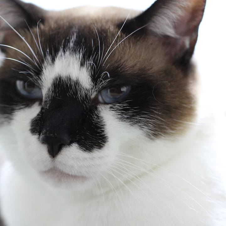 39ece490 a8c5 40a4 b07f a52b03a936af