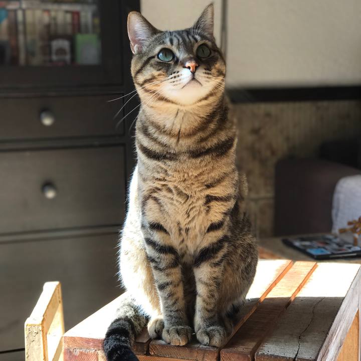 39ed4251 320d 4ac9 b577 a24cdf4d76e3