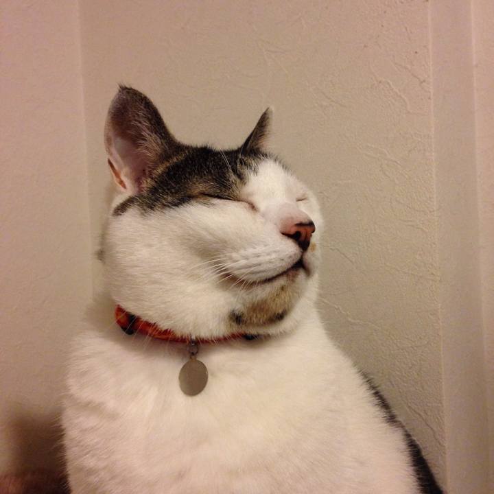 39ee4de4 a169 4961 98d9 f9e74528edff