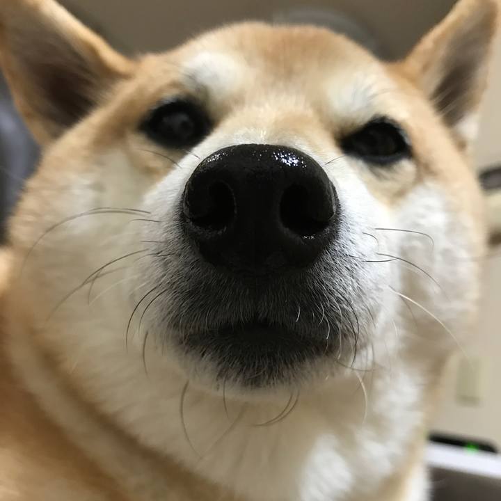 39ee60d7 8d4d 4700 9ff7 f760ddc166fd