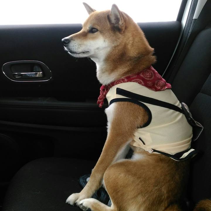 39ef630e cccc 4491 a138 2646a8100ee1