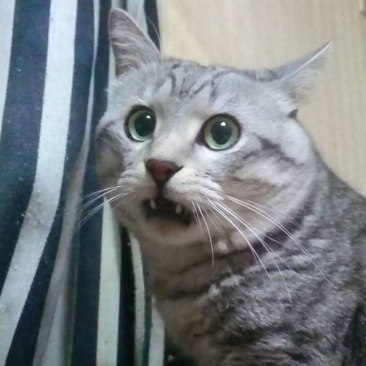 39ef865c 3834 4409 9003 3d036205bf35