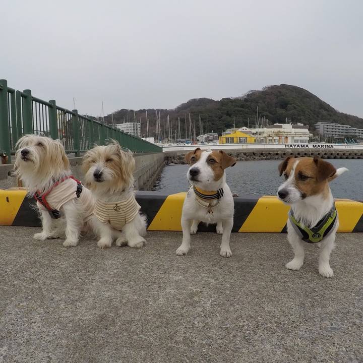 39efe88b 4b40 485a b289 9cabf566e9f3