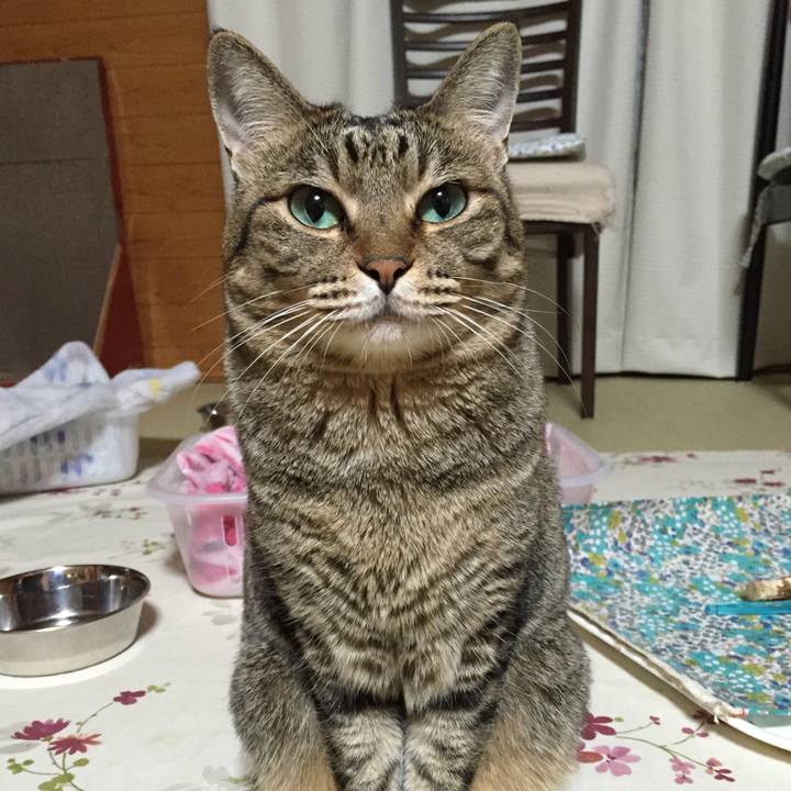 39f08373 6edc 444f 8f2d 39e9016cd6bf