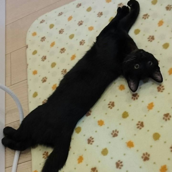 39f094e5 ca17 465b b6ca 9b0a74ca5f61