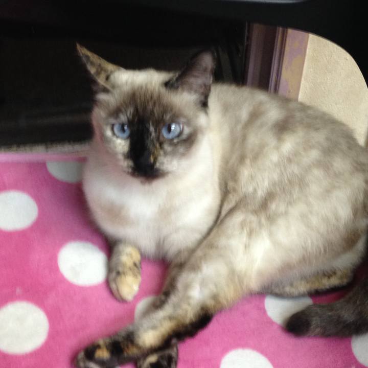 39f0d049 3d48 4c0f a7a5 988693e30dc4