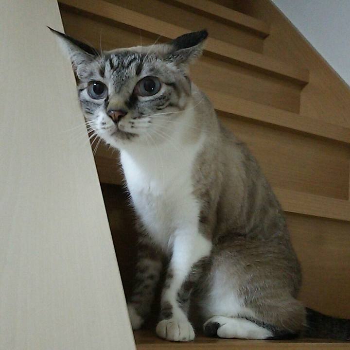 39f0e840 2263 451b bcdd 1a0fb829cfa4