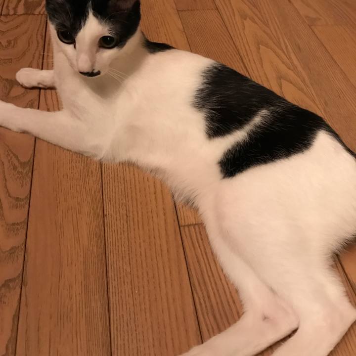 39f175ed 201a 4b17 8255 3a015d45a345