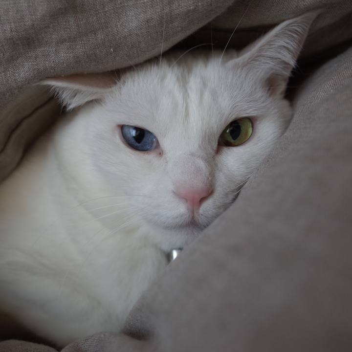 39f17aed 43a6 449c a7e2 102b4e8c4336