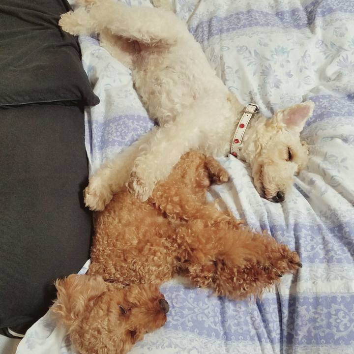 39f1a571 7388 4f29 97c5 31ee7b87876e