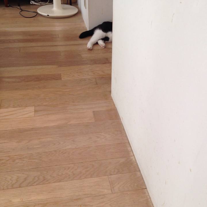 39f1ced3 662e 4f4f b81b 68bfbf8bcdc0