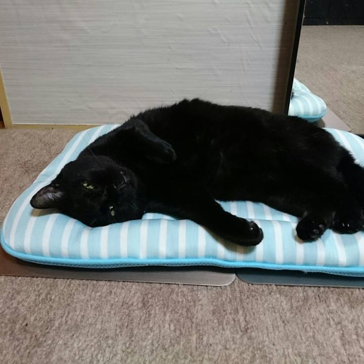 39f1dbaa fd71 43e6 9933 9c3ce18b3c2b