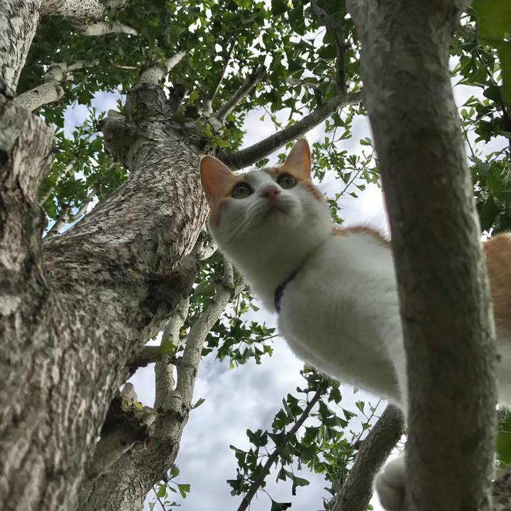 39f243fd 6b75 4e1c 85fc 8a2f15927579