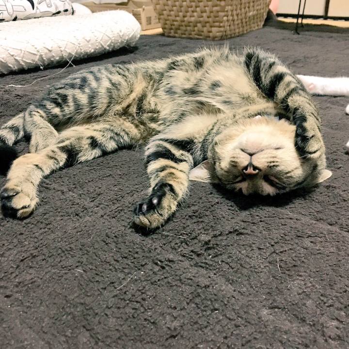 39f2d2c8 74cf 44ca bd01 4f3ecb104953