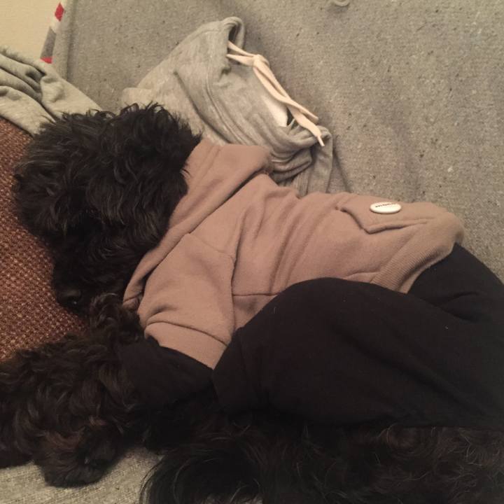 39f3923c 2ff1 4ff5 b86f 96aa0182b86a