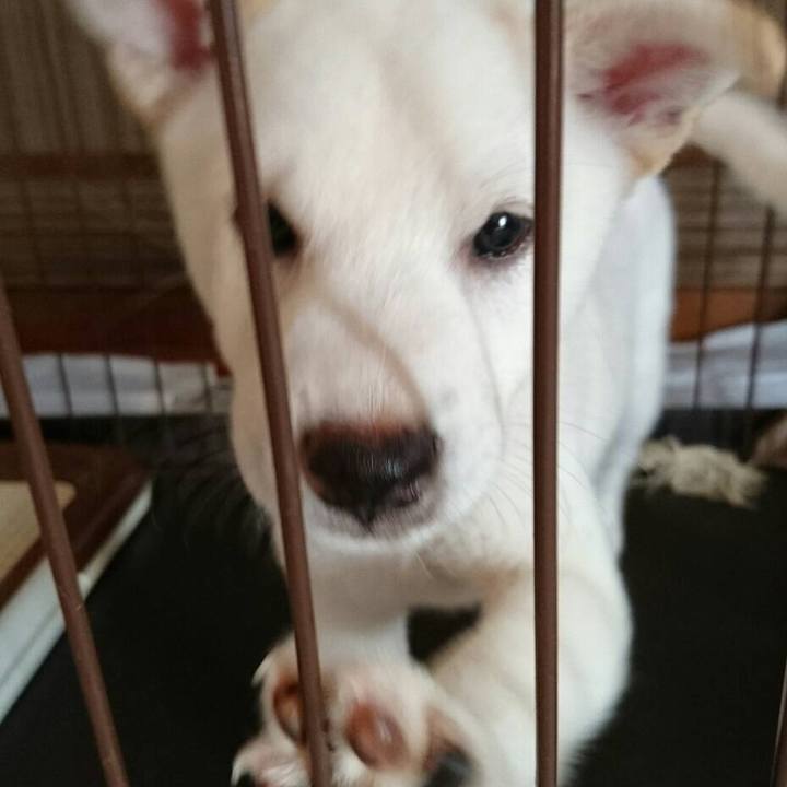 39f45217 02d1 47b7 8d54 552ba0464746