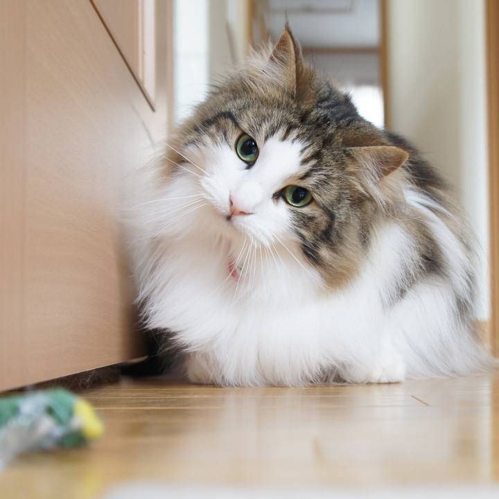 39f4a289 bbef 47bc bc4f 87ab019b9fd2