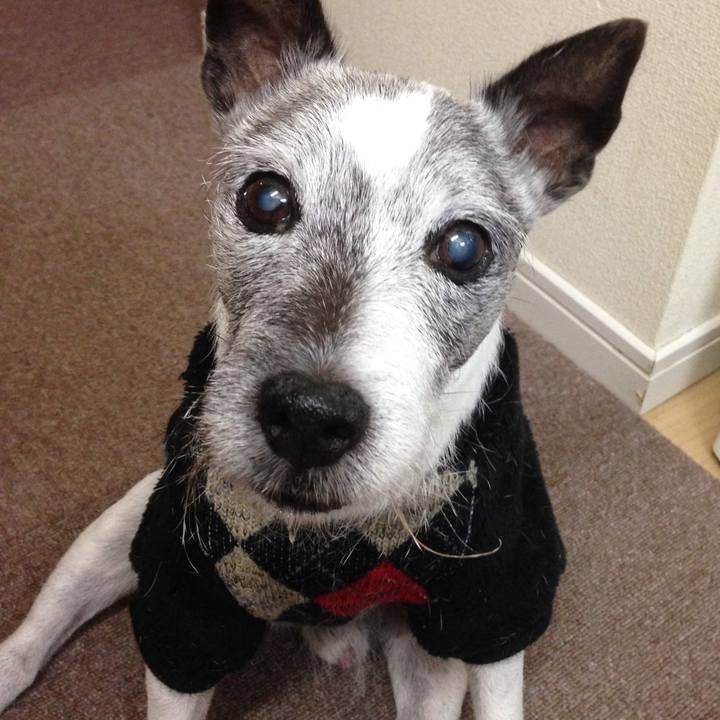 39f57395 bbd3 4fb0 ac31 91f09fa14750