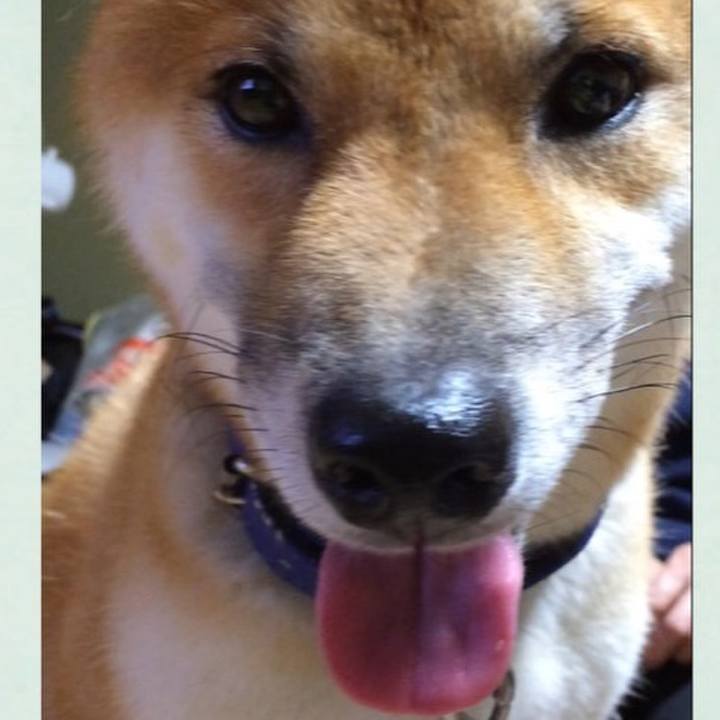 39f58e98 5a1d 4efa 9ac5 7998cb19f016