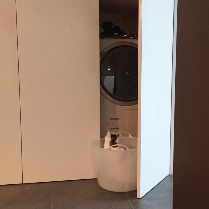 39f68fb2 c619 490c aa73 b6e6587c3ddb