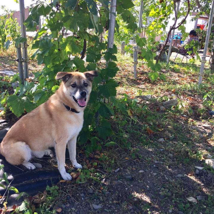 39f6f12c 4a56 4abb 85c2 a7192e184744