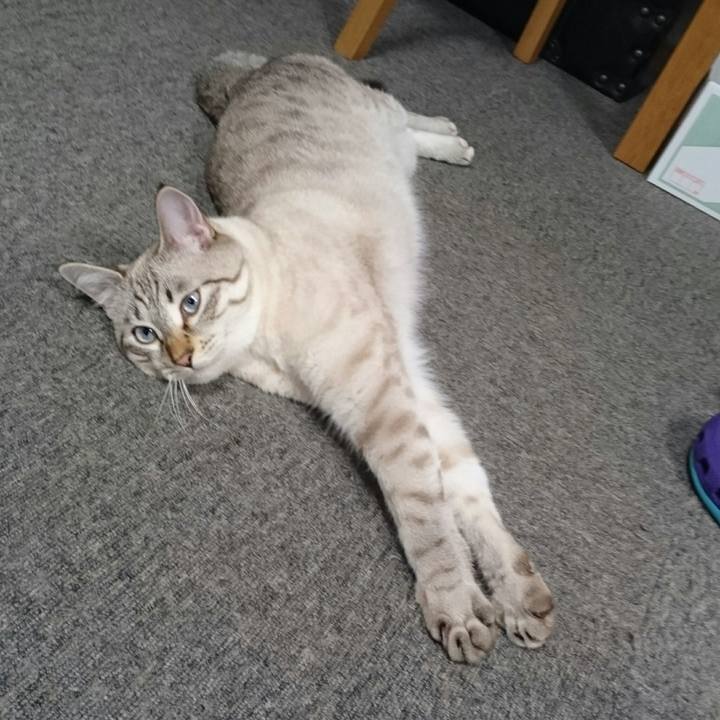 39f70152 157c 4dd2 ba5c 20ab6d2ace52