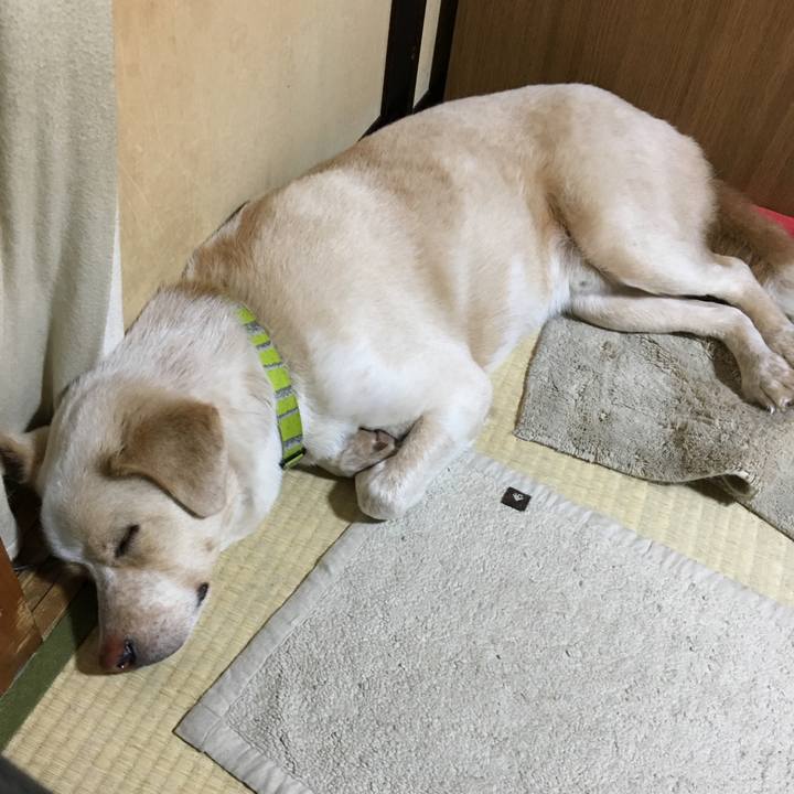 39f78859 5985 43c1 a4f4 063714bd9c0a