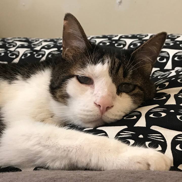 39f7f698 3cdb 4f5d b93a 4fe5f31ec4dd