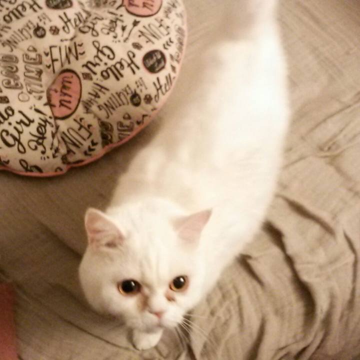 39f8550b ca4f 4b13 baf7 5311e7a34082