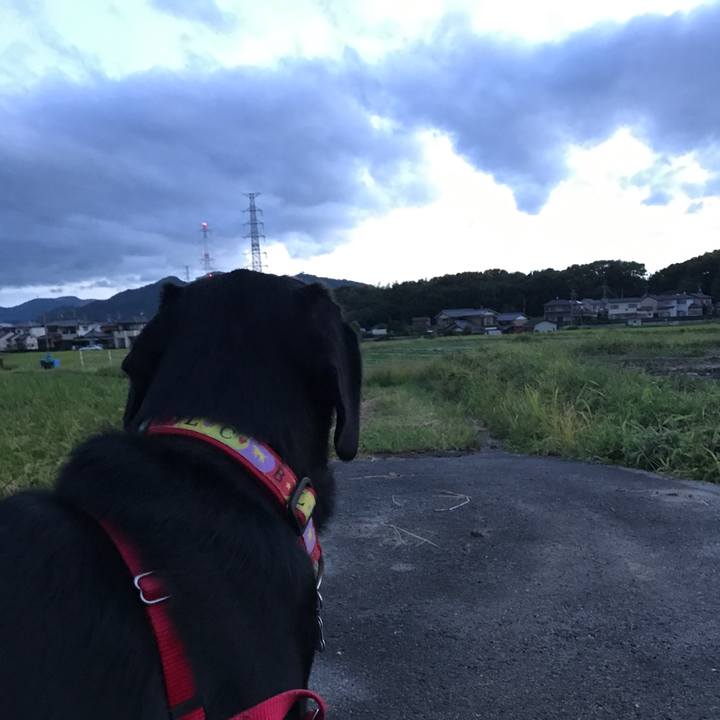 39f9a387 738c 4f9c b1a1 7ad9c602968a