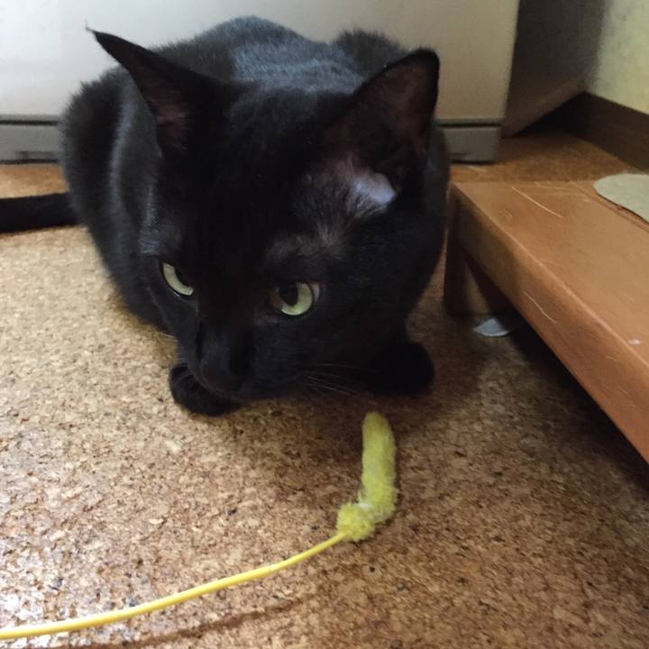 39f9ae9b 6c61 4b5e 8ca9 9edb8110bd15