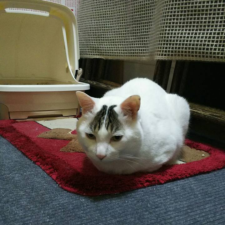 39f9c6a2 f5d6 4a09 97d5 ca423379909b