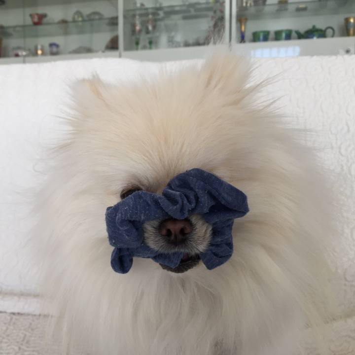 39fa313d 8006 4cf8 953a 66d0ca86d0a8