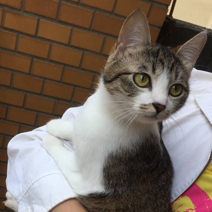 39fa412c 3bc5 4611 8710 0c34a4c750ca