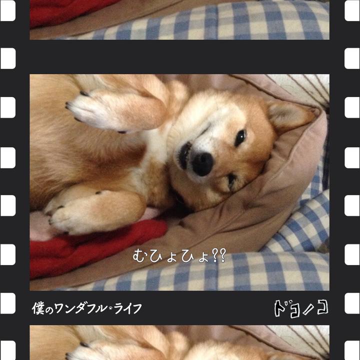 39fa61da 1663 46a8 87a9 97f15d3dda3f