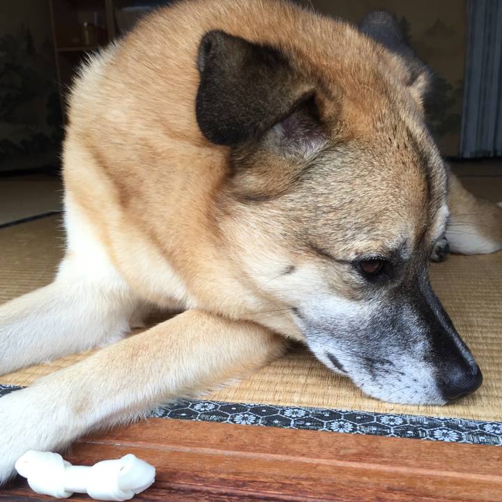 39faa40d b23a 4578 bcc1 cf7dd519f8d3