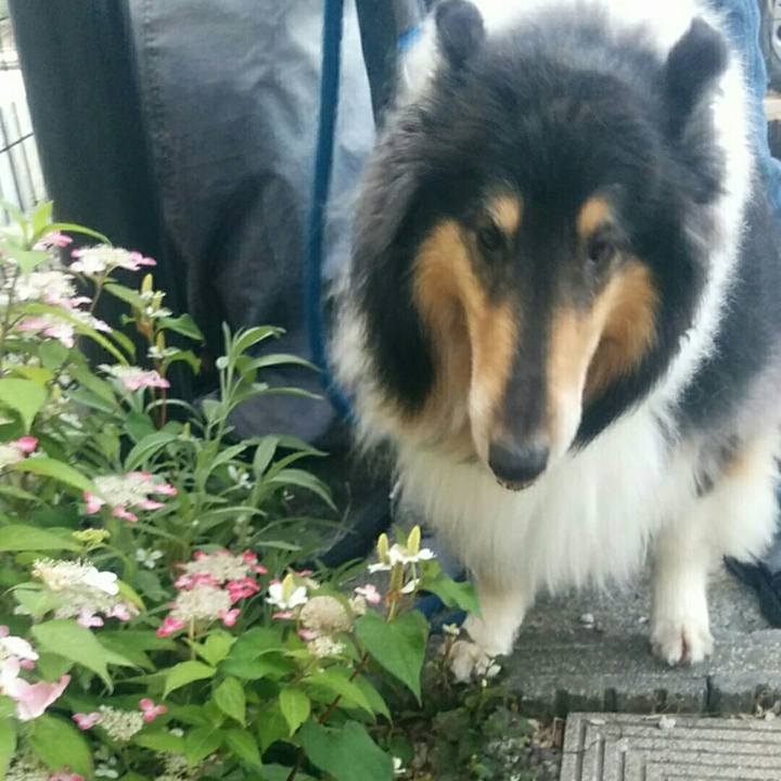 39fada36 a525 43d2 a375 1e044b4618c5