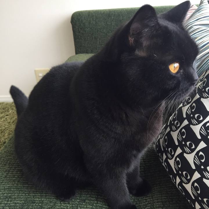 39fadcd9 314c 41c1 8f2e 51d27786947b