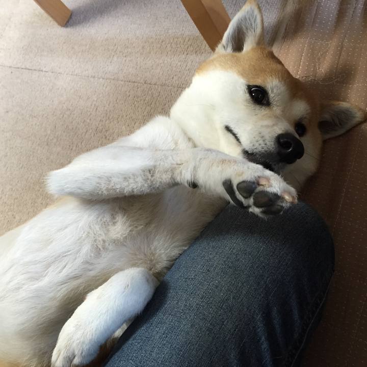 39fafa41 c1b3 4e36 8fca 37de61bd9288