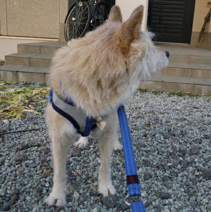 39fb4878 3849 4f0e b2a8 62ec8928c731