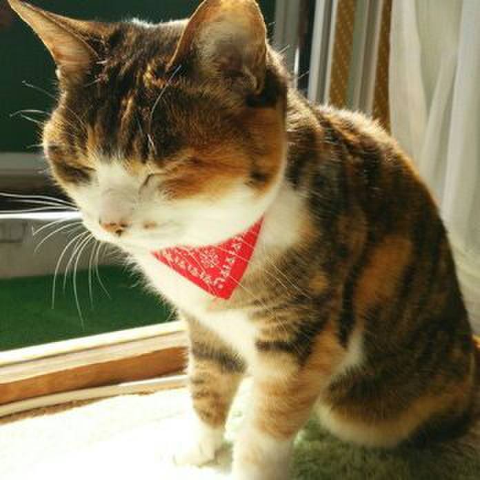 39fba2ce d3d5 4a7b 8fad 84935fd420b5