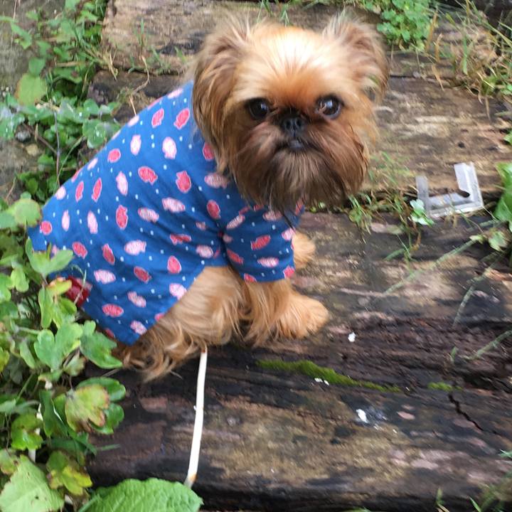 39fbaf08 fb19 419d 8867 783c97d23267