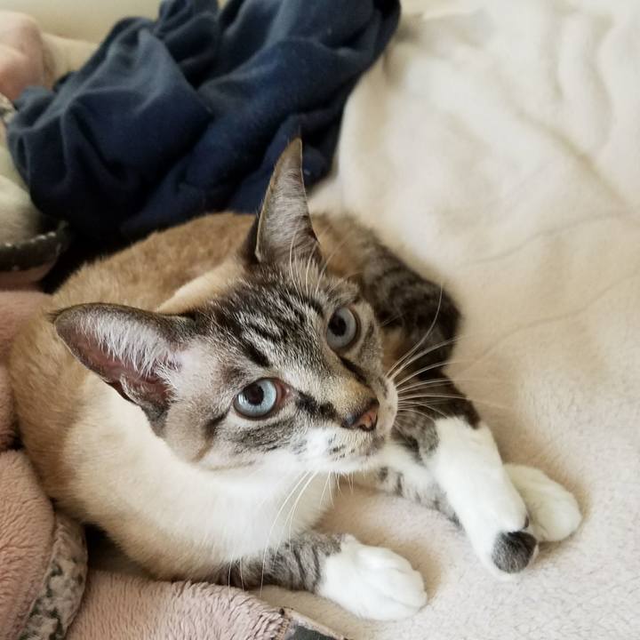 39fc16c4 817a 44ee 8e37 5d4c4d2ae72f