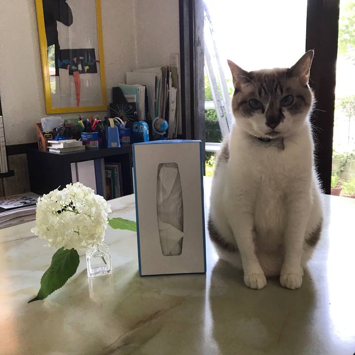 39fcd113 0fb0 48b3 b4a6 08d47a8a0923